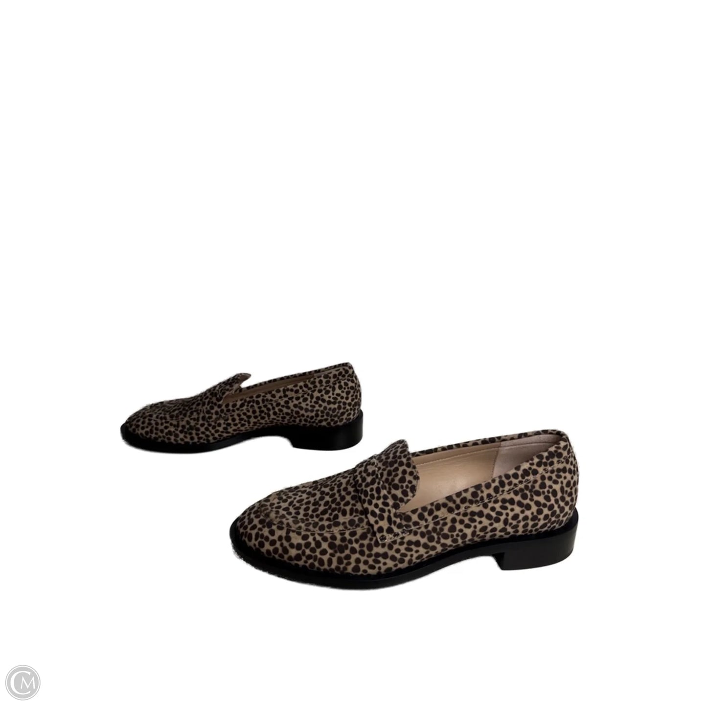 Shoes Designer By Stuart Weitzman In Animal Print, Size: 7.5