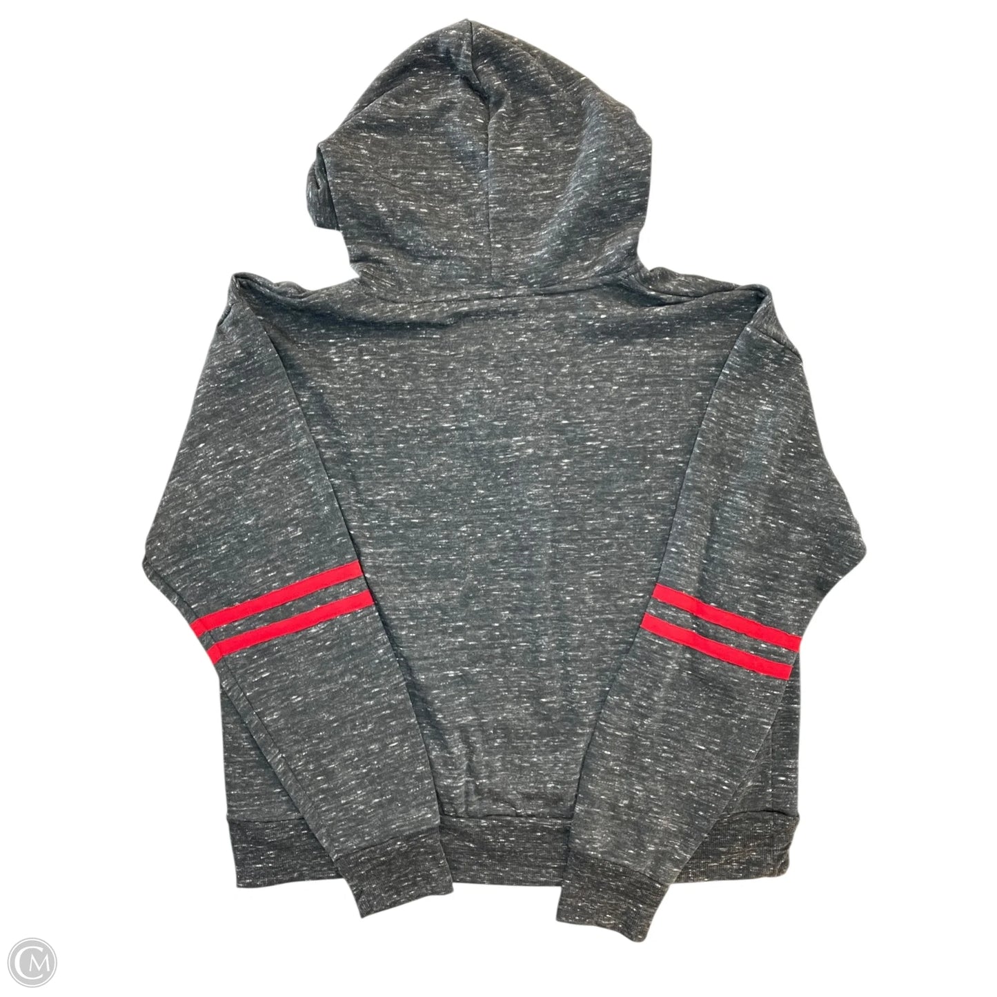 Sweatshirt Hoodie By Colosseum In Grey, Size: L