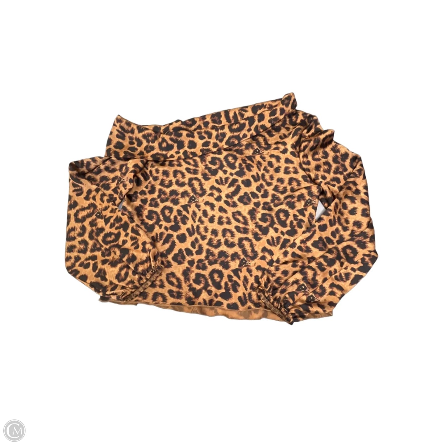 Blouse Long Sleeve By Express In Leopard Print, Size: M