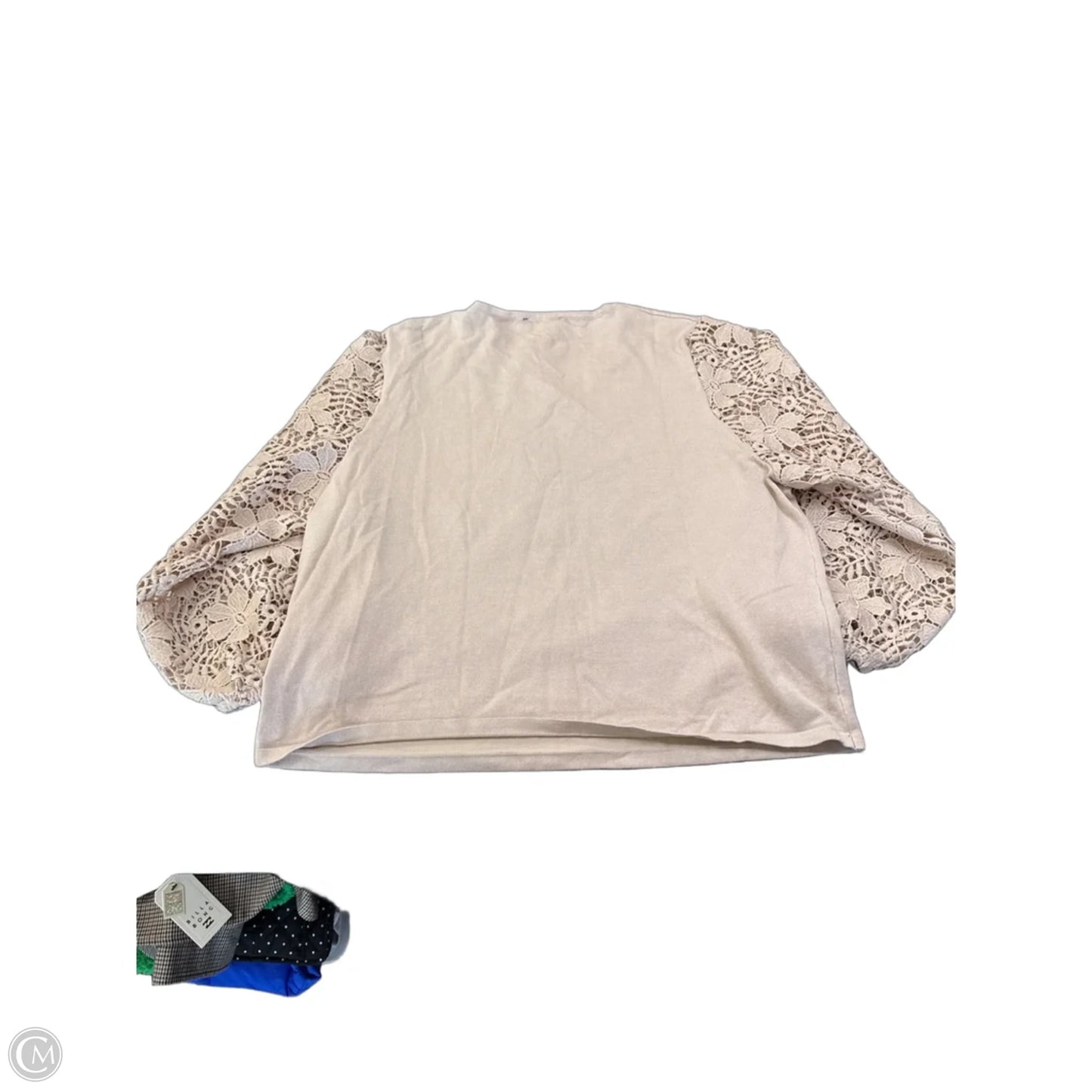 Top Long Sleeve By Adrianna Papell In Beige, Size: Xl