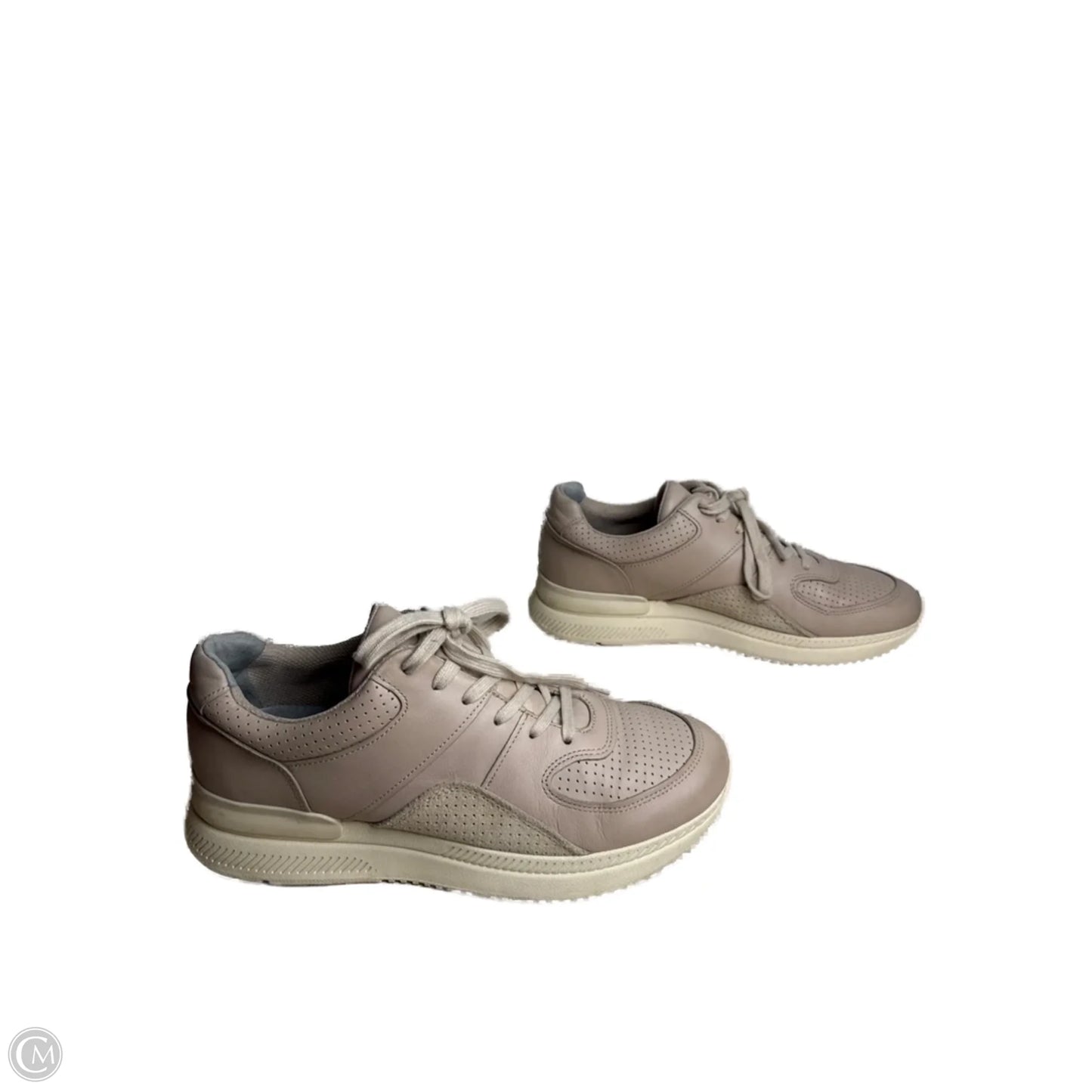 Shoes Sneakers By Everlane In Tan, Size: 8
