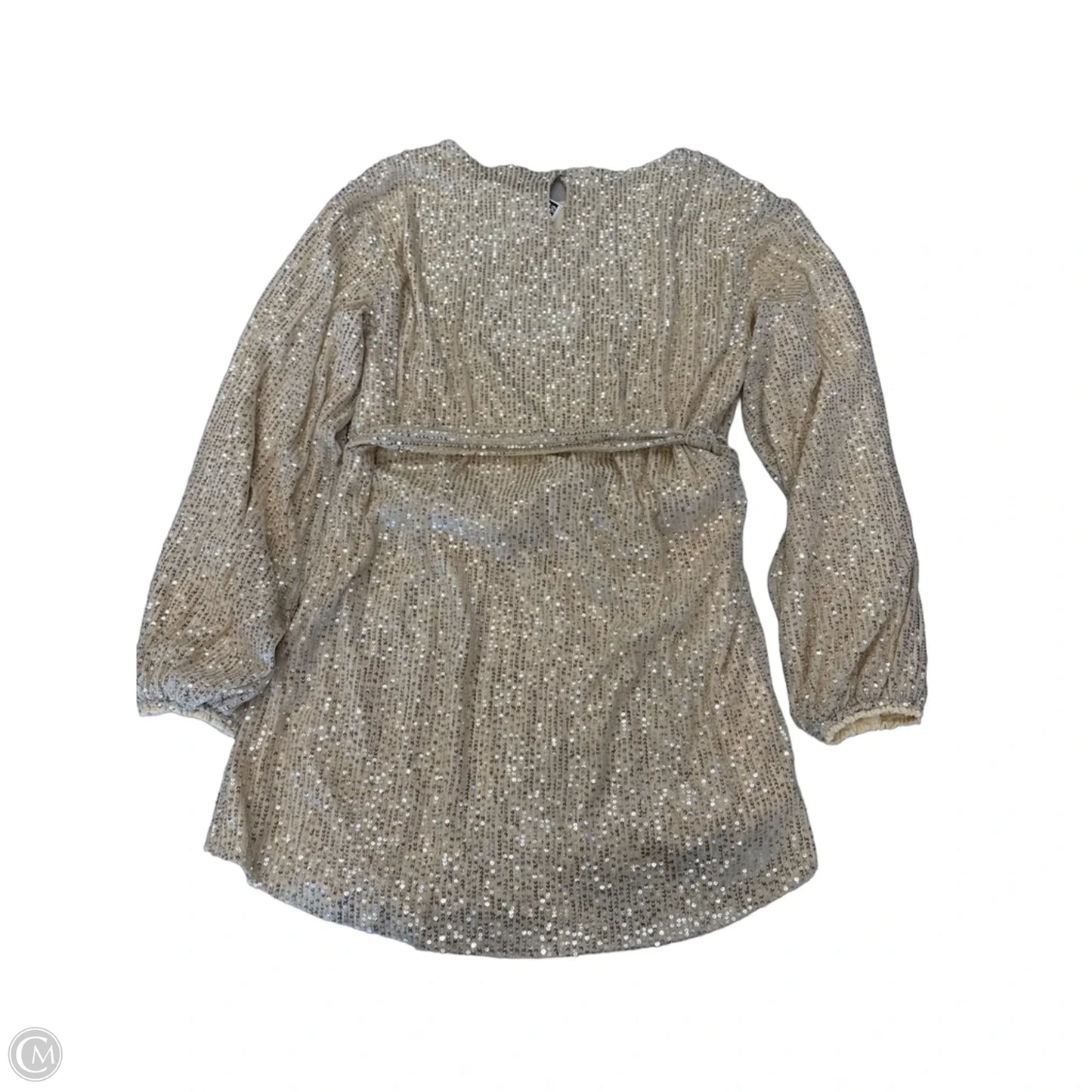 Dress Party Short By Clothes Mentor In Silver & Tan, Size: Xl