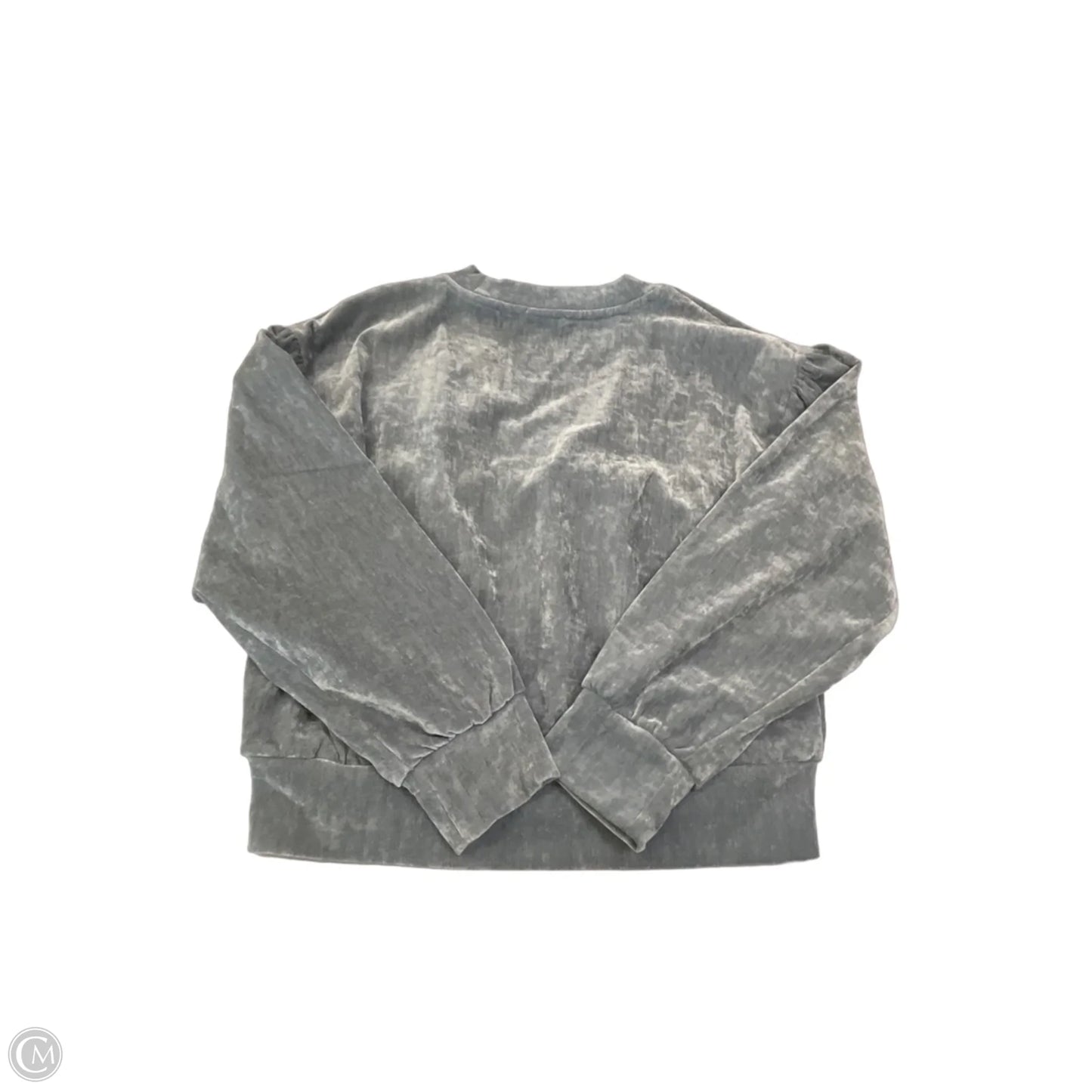 Top Long Sleeve By Evereve In Grey, Size: M