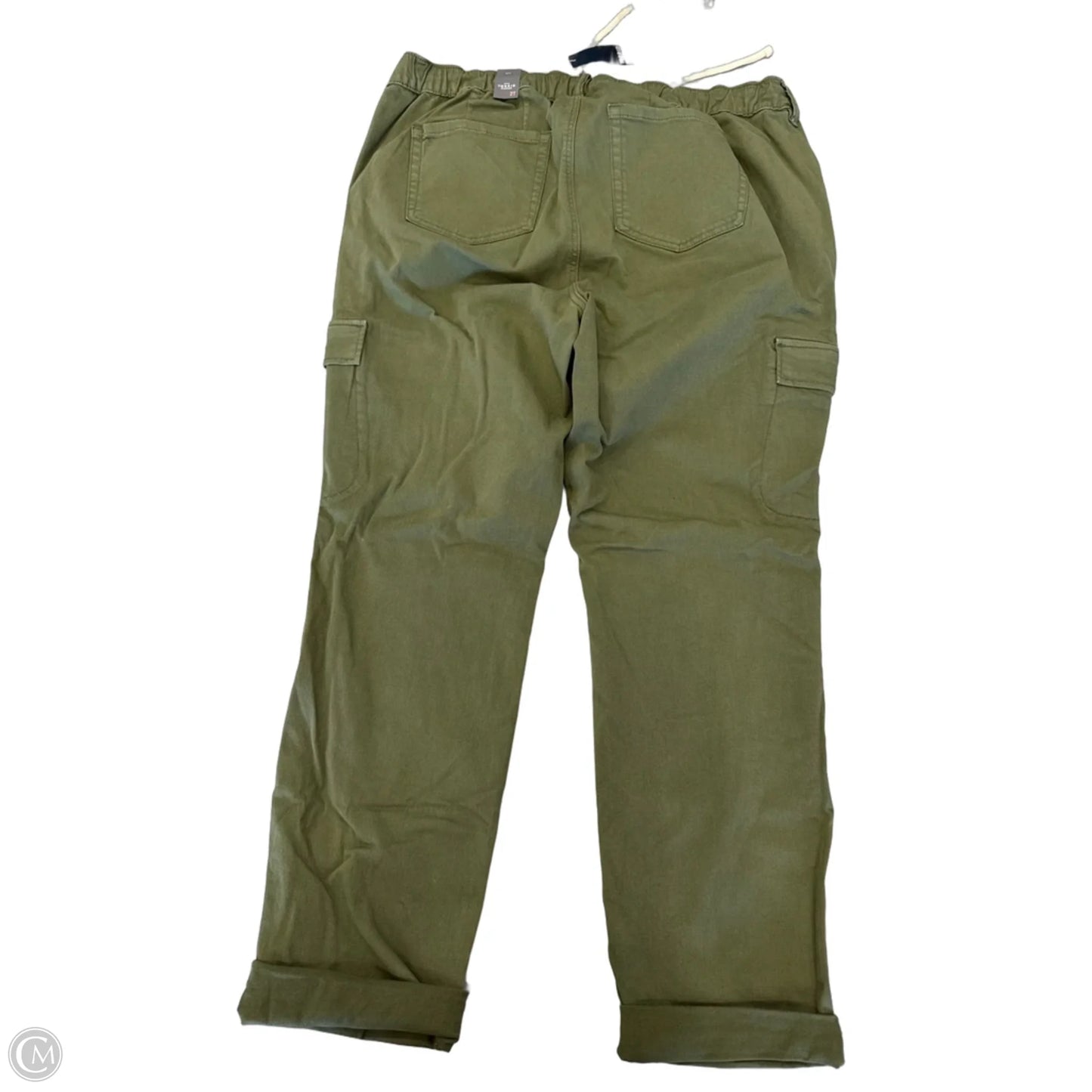 Pants Other By Torrid In Green, Size: 2XT