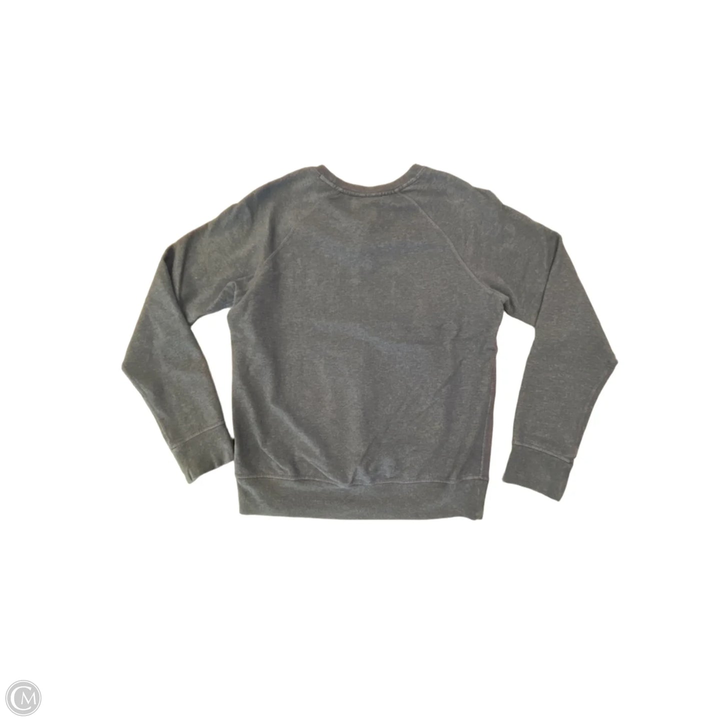 Sweatshirt Crewneck By Patagonia In Blue, Size: S