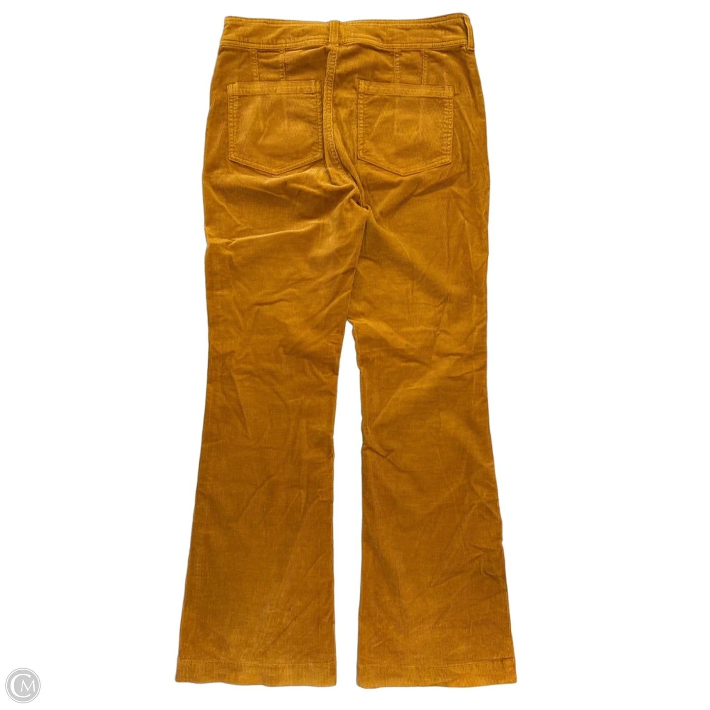 Pants Corduroy By Pilcro In Yellow, Size: M