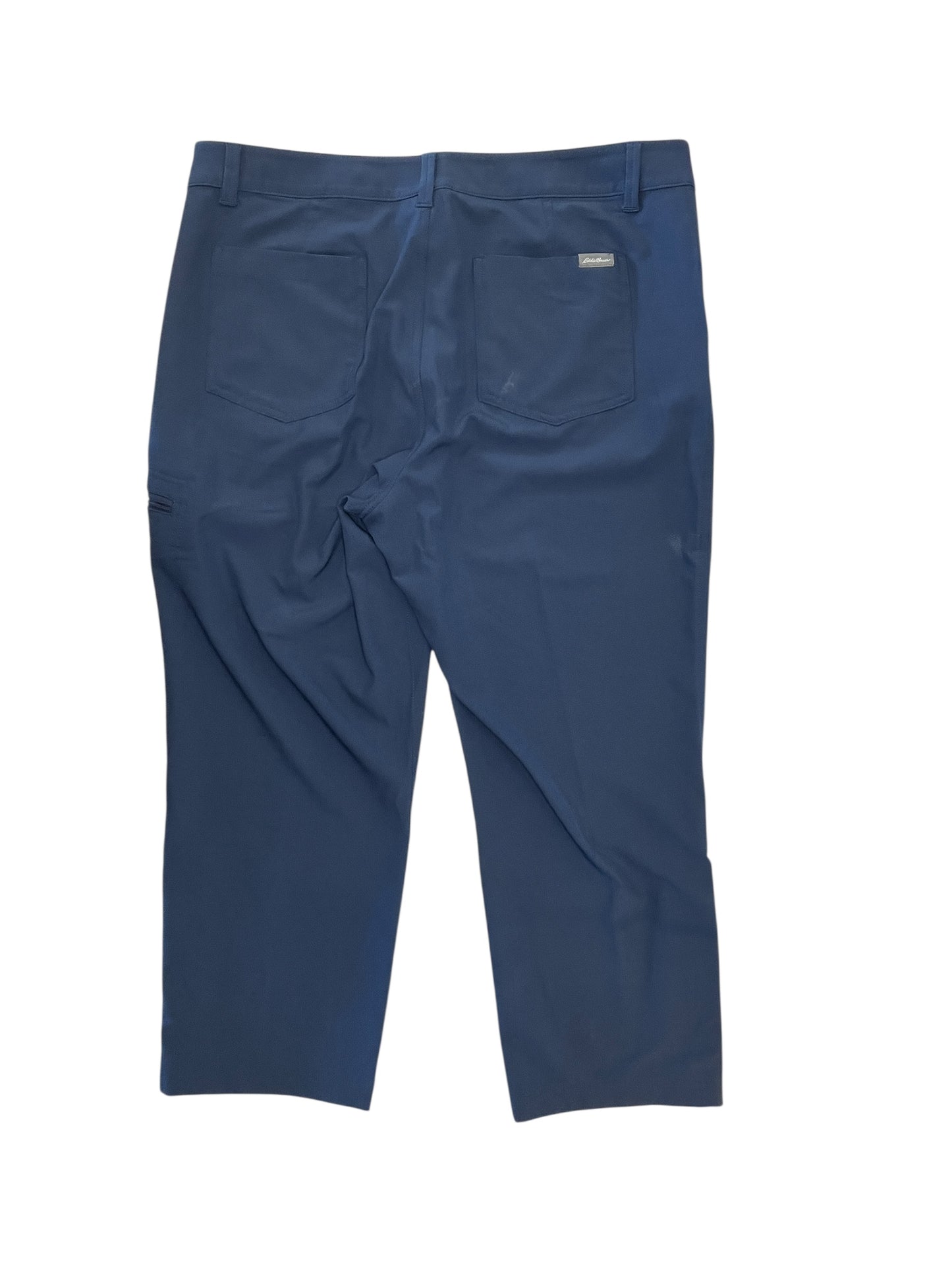 Athletic Pants By Eddie Bauer In Blue, Size:L