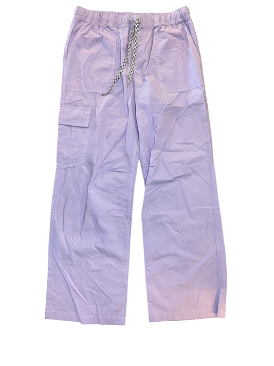 Pants Cargo & Utility By Aerie In Purple, Size:M