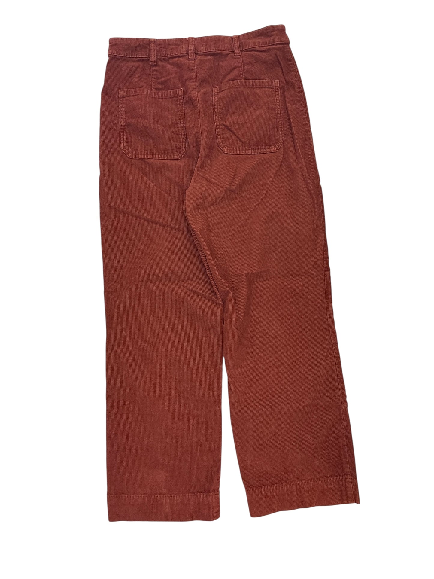 Pants Corduroy By Marine Layer In Orange, Size:L
