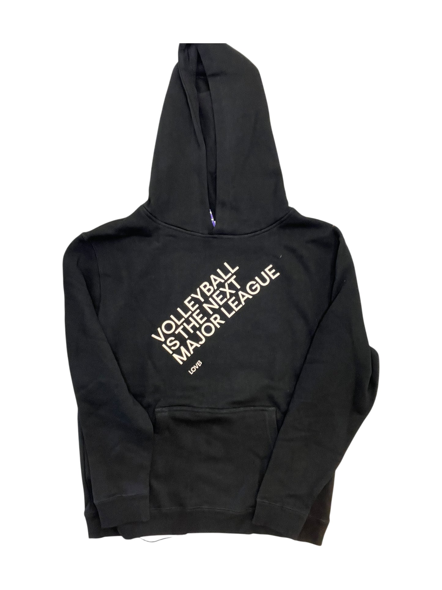 Sweatshirt Hoodie By Clothes Mentor In Black, Size:L