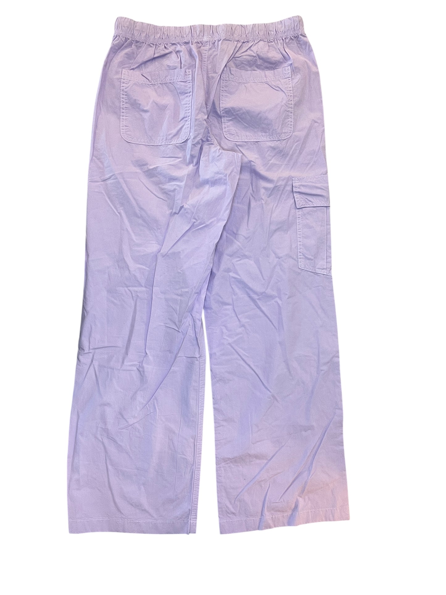 Pants Cargo & Utility By Aerie In Purple, Size:M