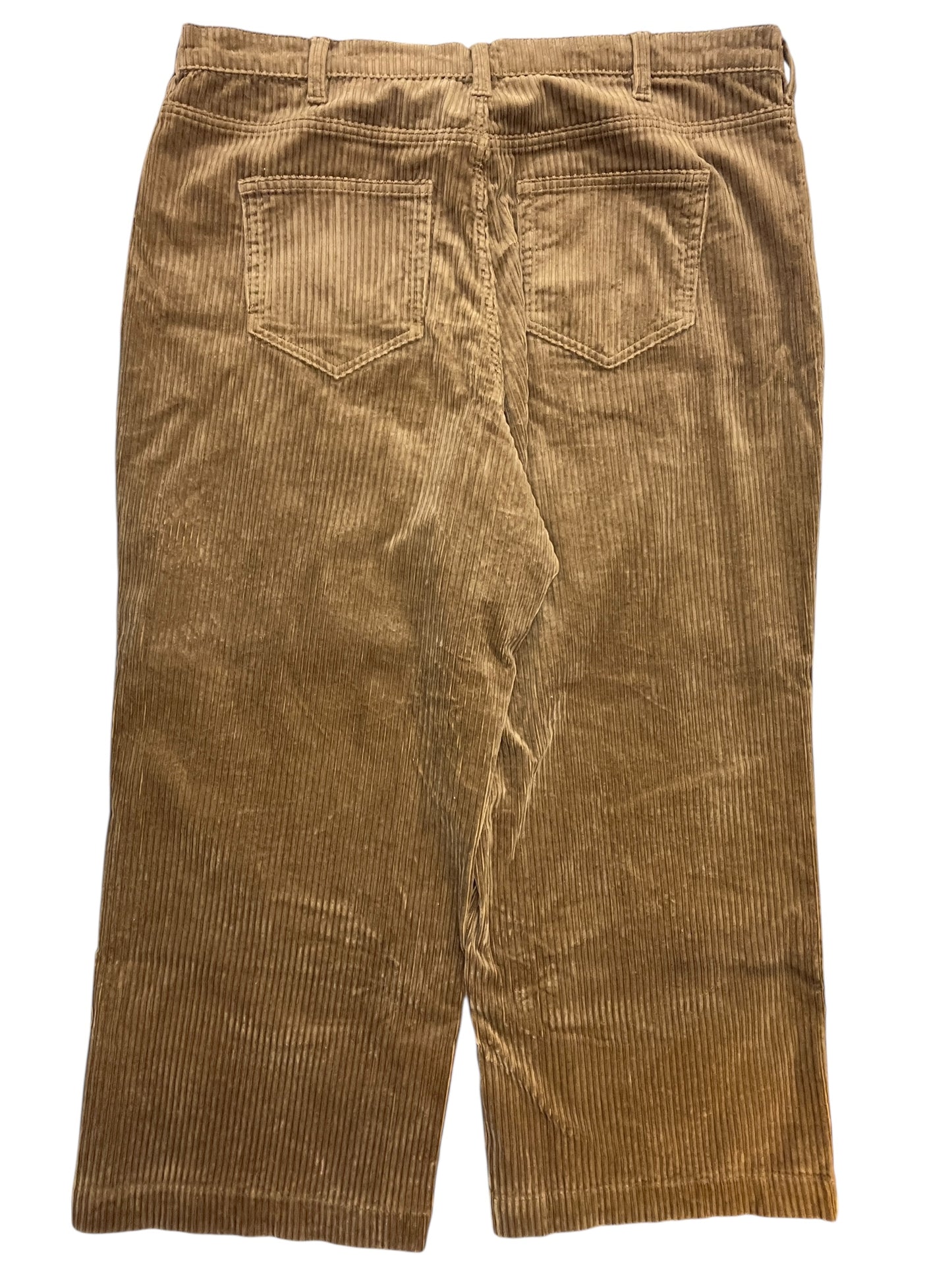 Pants Corduroy By Lands End In Tan, Size:2X