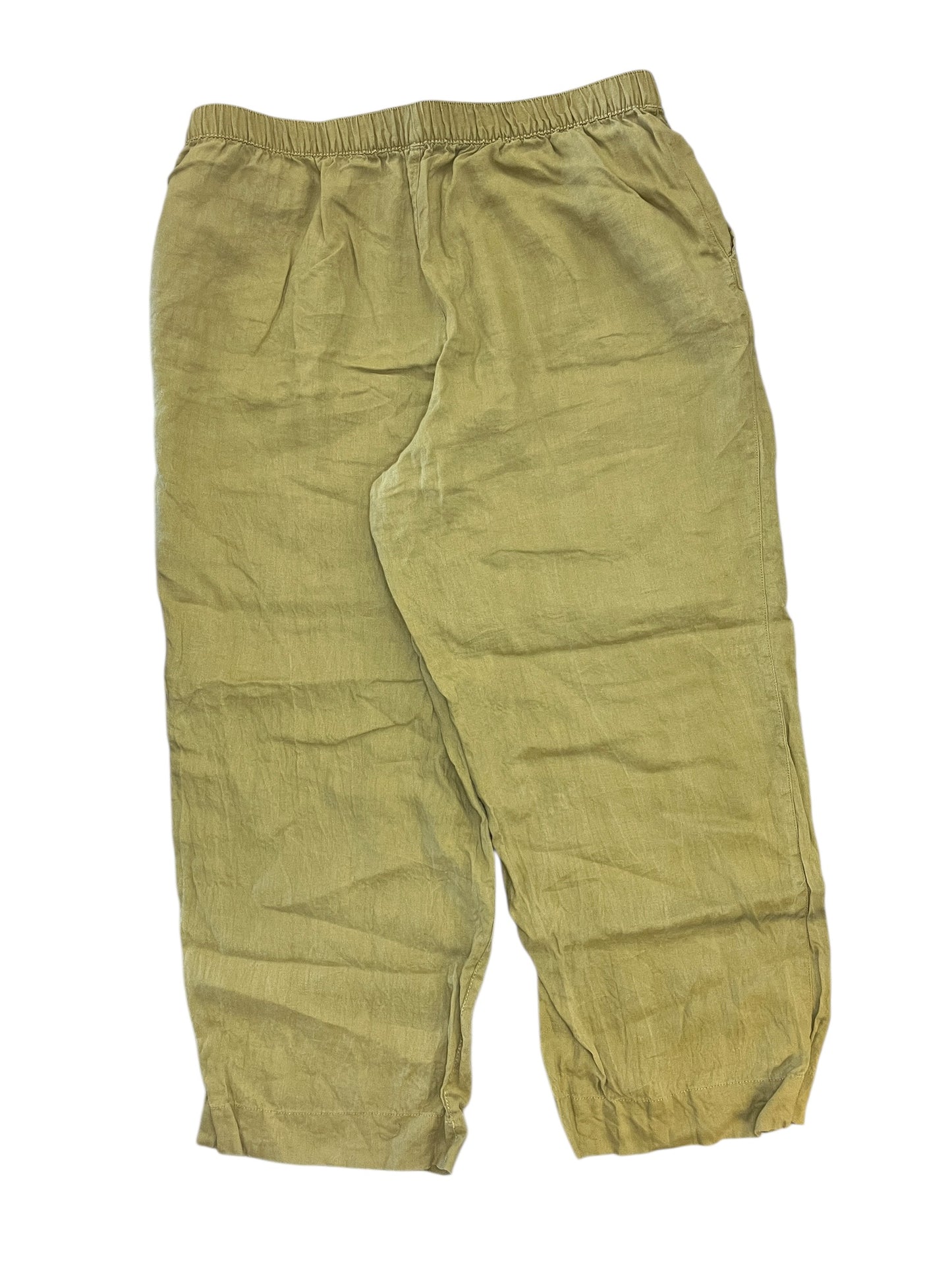 Pants Linen By Tahari In Green, Size:Xl