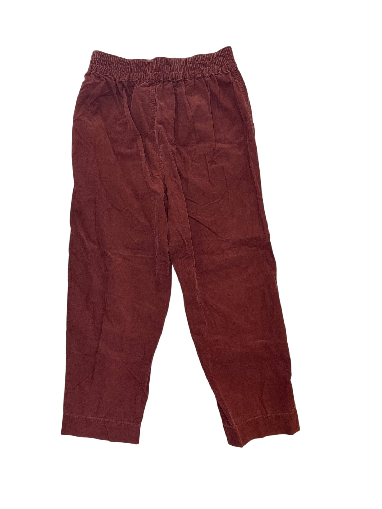 Pants Chinos & Khakis By Madewell In Red, Size:Xs