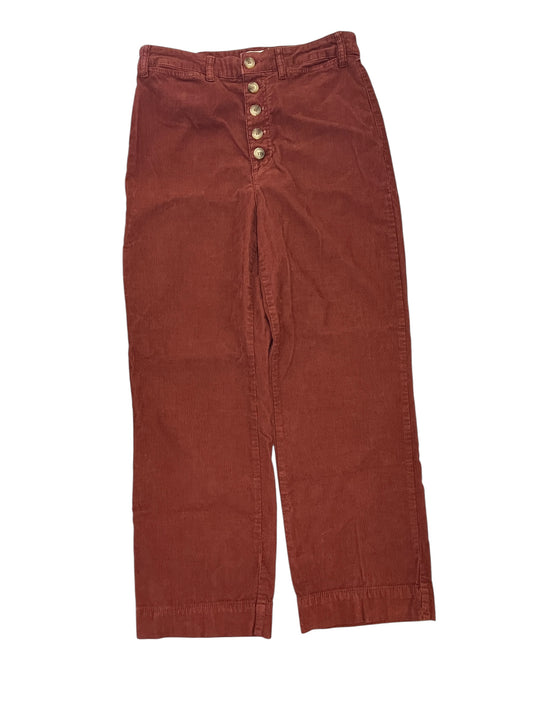 Pants Corduroy By Marine Layer In Orange, Size:L