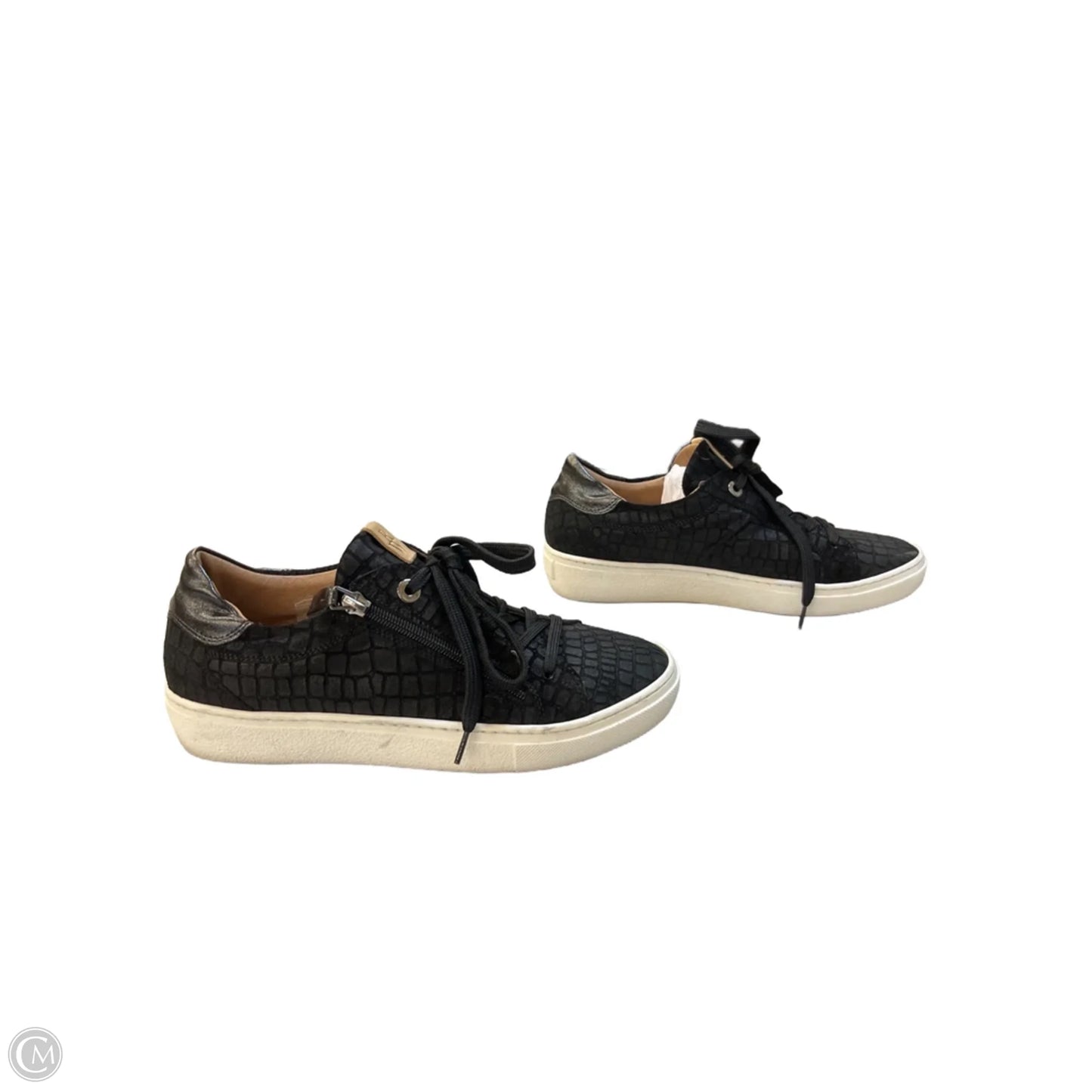 Shoes Sneakers By Cma In Black & White, Size: 8.5