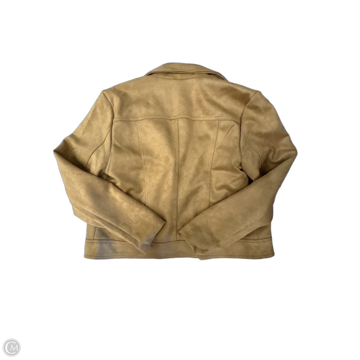 Jacket Moto By Philosophy In Brown, Size: M