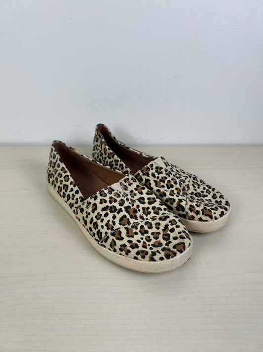 Leopard Print Shoes Flats Toms, Size 8.5