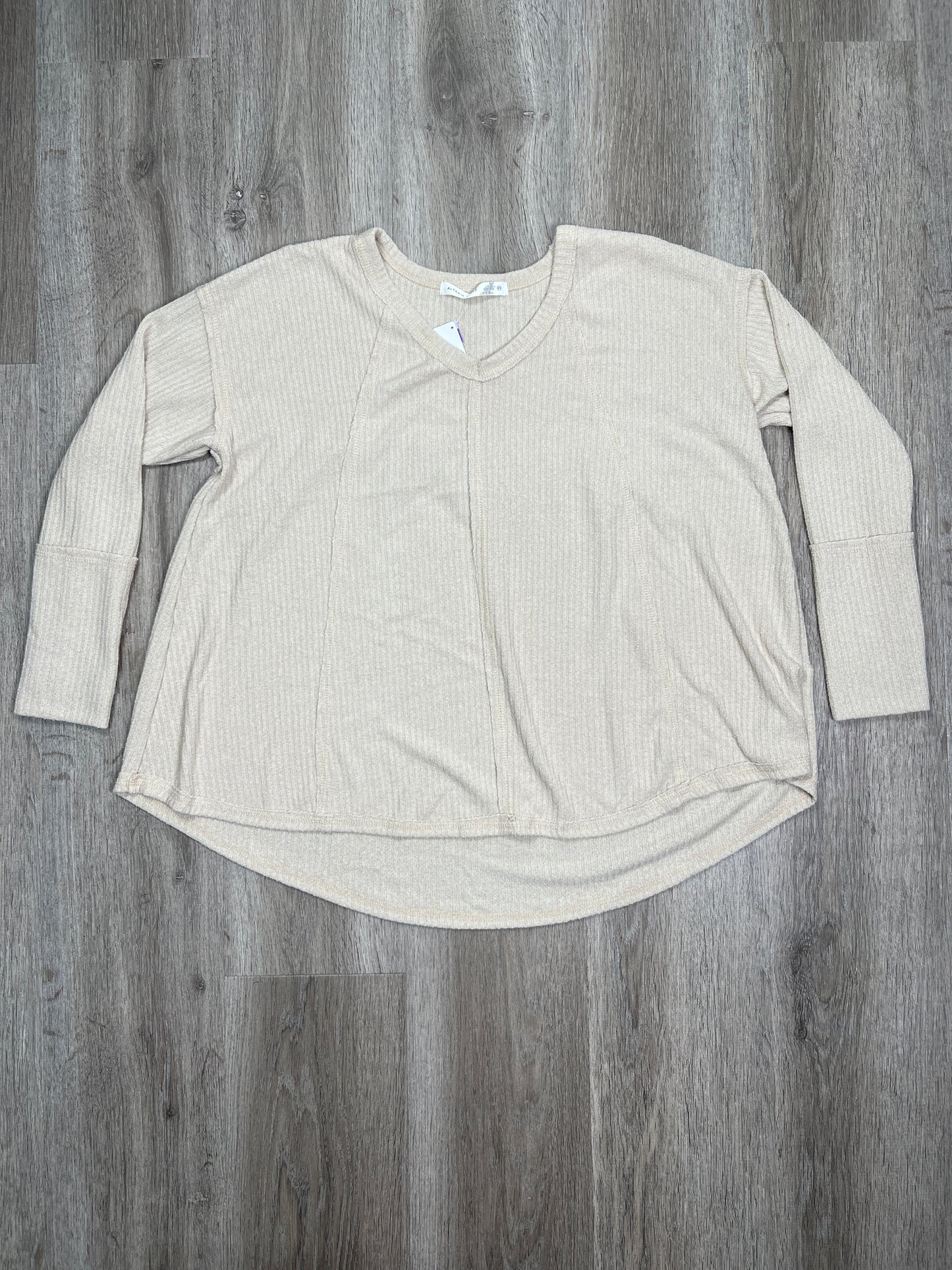 Cream Top Long Sleeve Altard State, Size Xs