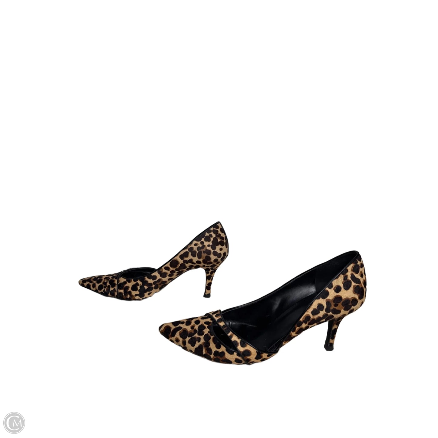 Shoes Heels Stiletto By Nine West In Animal Print, Size: 9.5