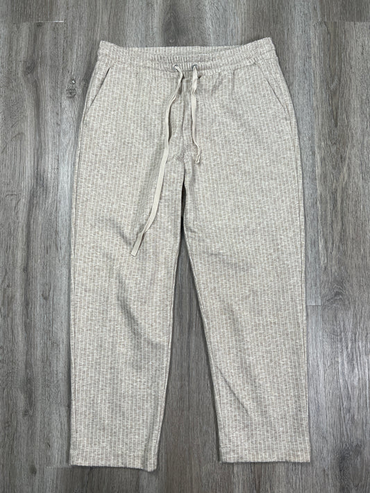 Pants Cropped By Loft  Size: M