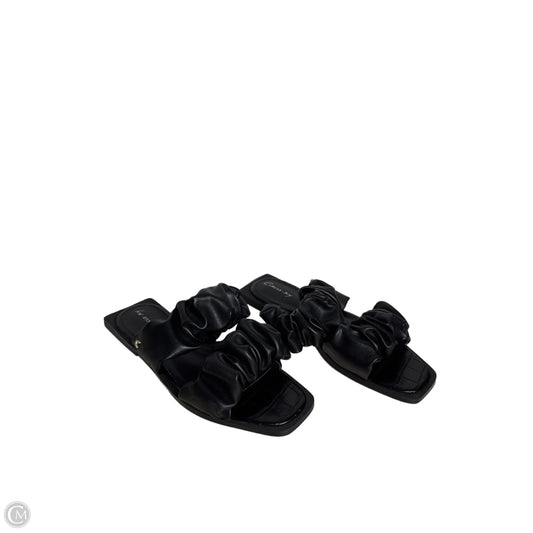 Sandals Flats By CIRCUS NY In Black, Size: 6