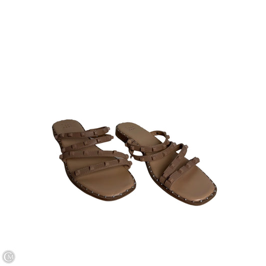 Sandals Flip Flops By A New Day In Tan, Size: 9