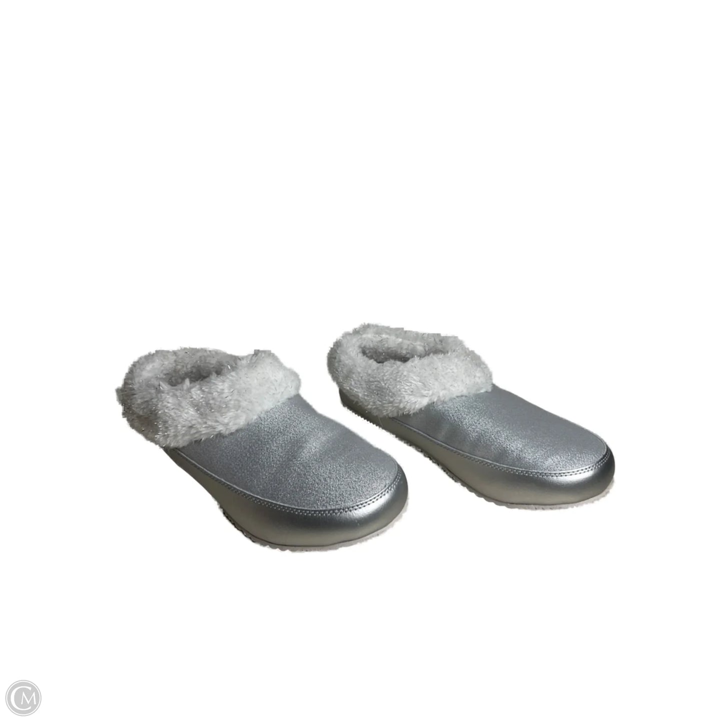 Shoes Flats By Sorel In Silver, Size: 9