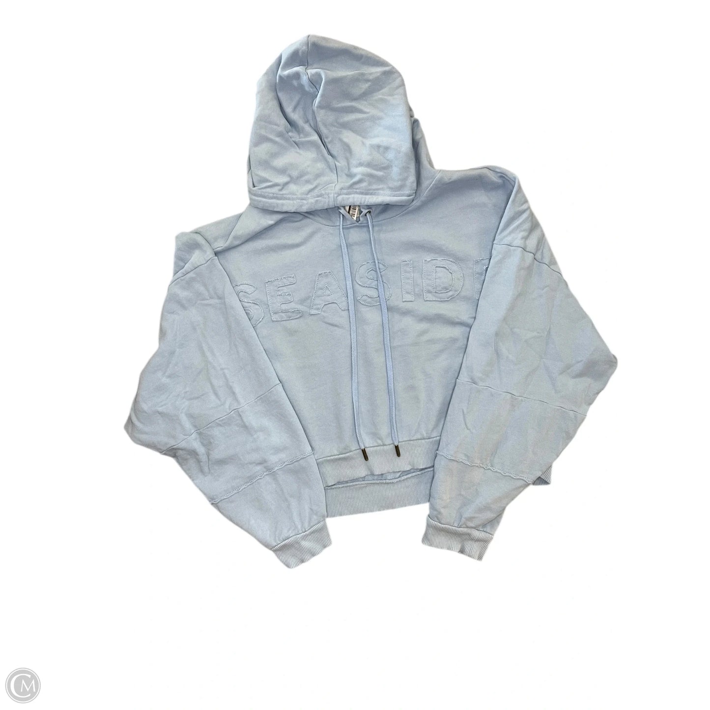 Sweatshirt Hoodie By Pilcro In Blue, Size: L