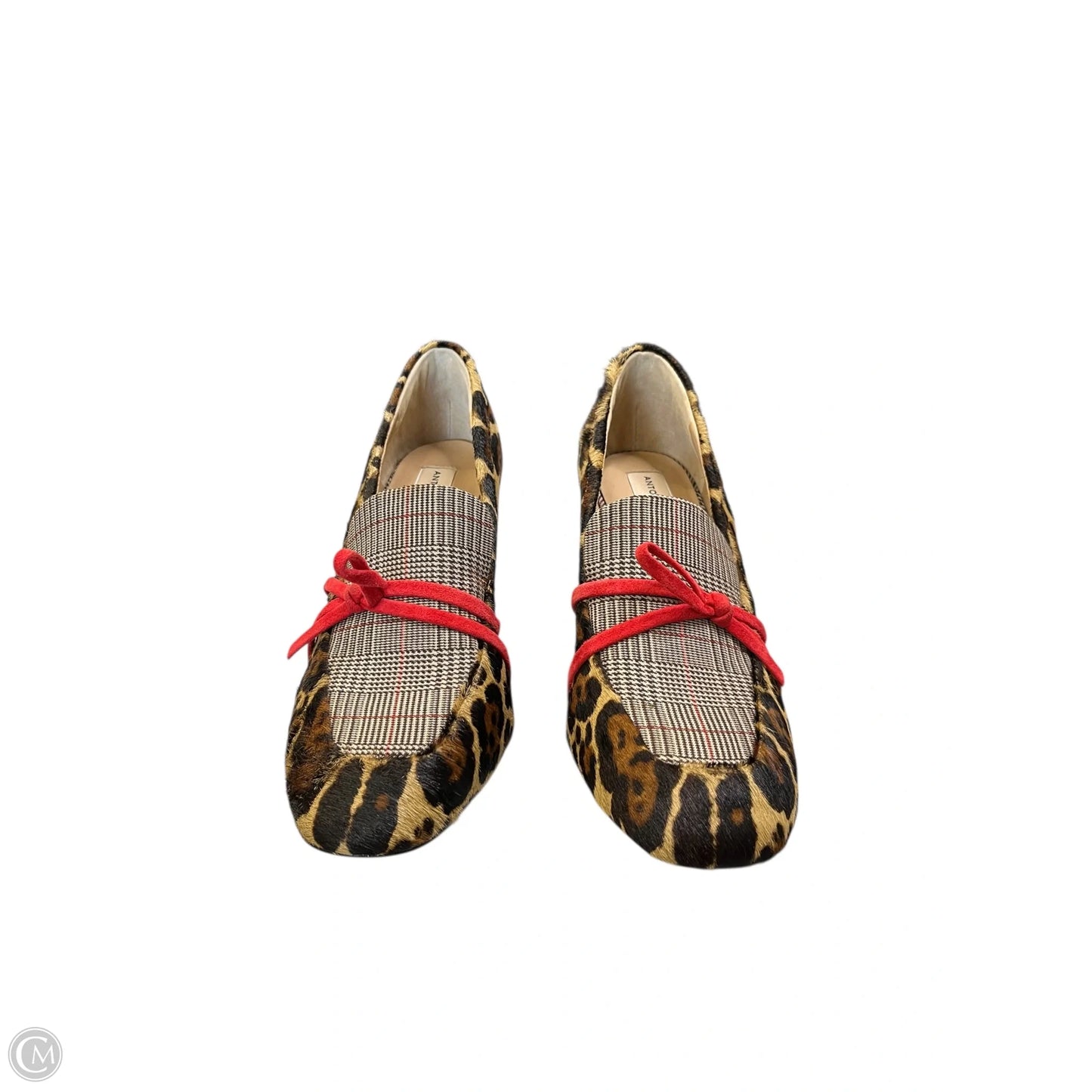 Shoes Heels Block By Antonio Melani In Leopard Print, Size: 7