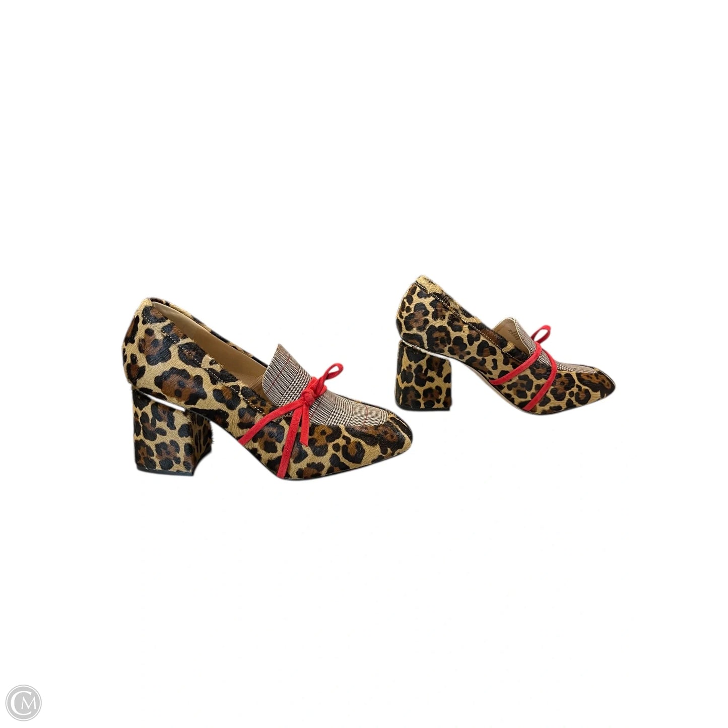 Shoes Heels Block By Antonio Melani In Leopard Print, Size: 7