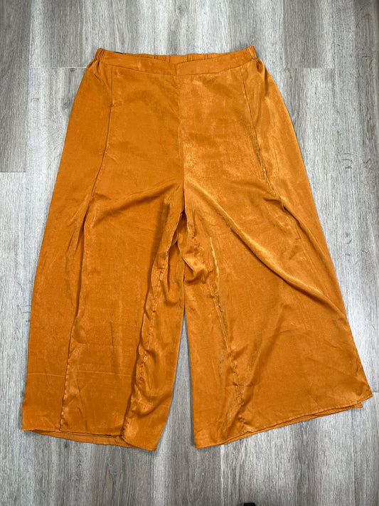 Pants Other By Altard State  Size: Xl