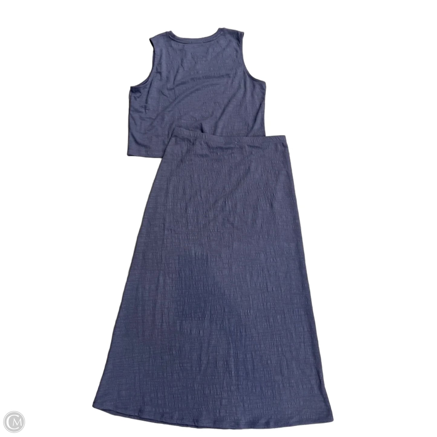 Skirt Set 2pc By Z Supply In Blue, Size: L