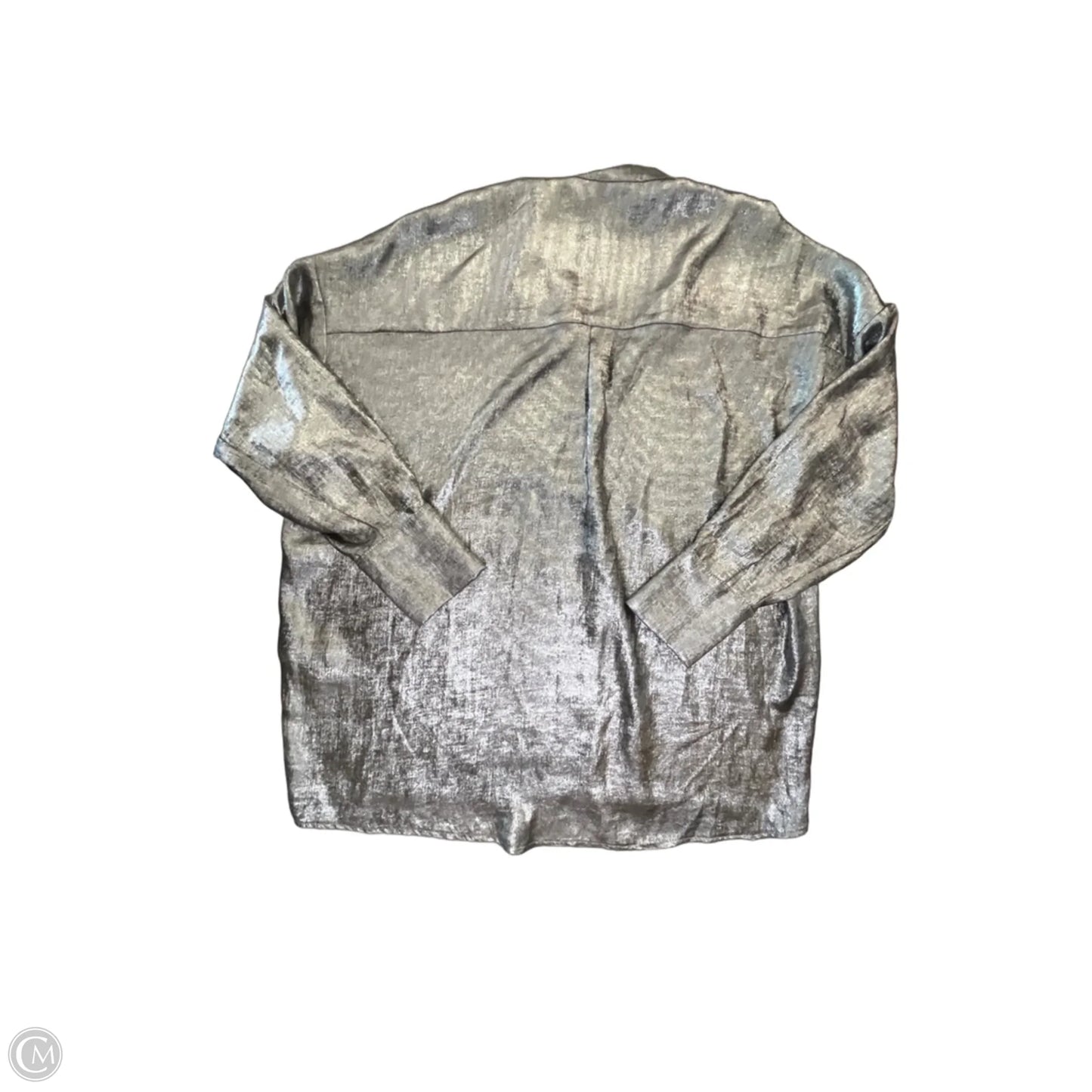 Blouse Long Sleeve By Clothes Mentor In Silver, Size: L