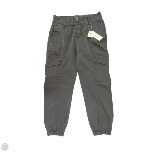 Pants Cargo & Utility By Sanctuary In Grey, Size: Xs