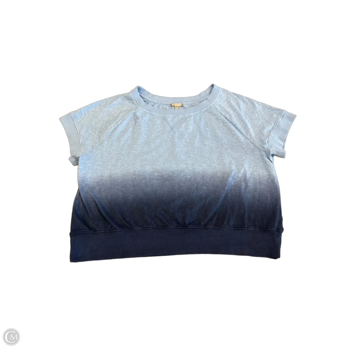 Top Short Sleeve By Talbots In Blue, Size: Xl