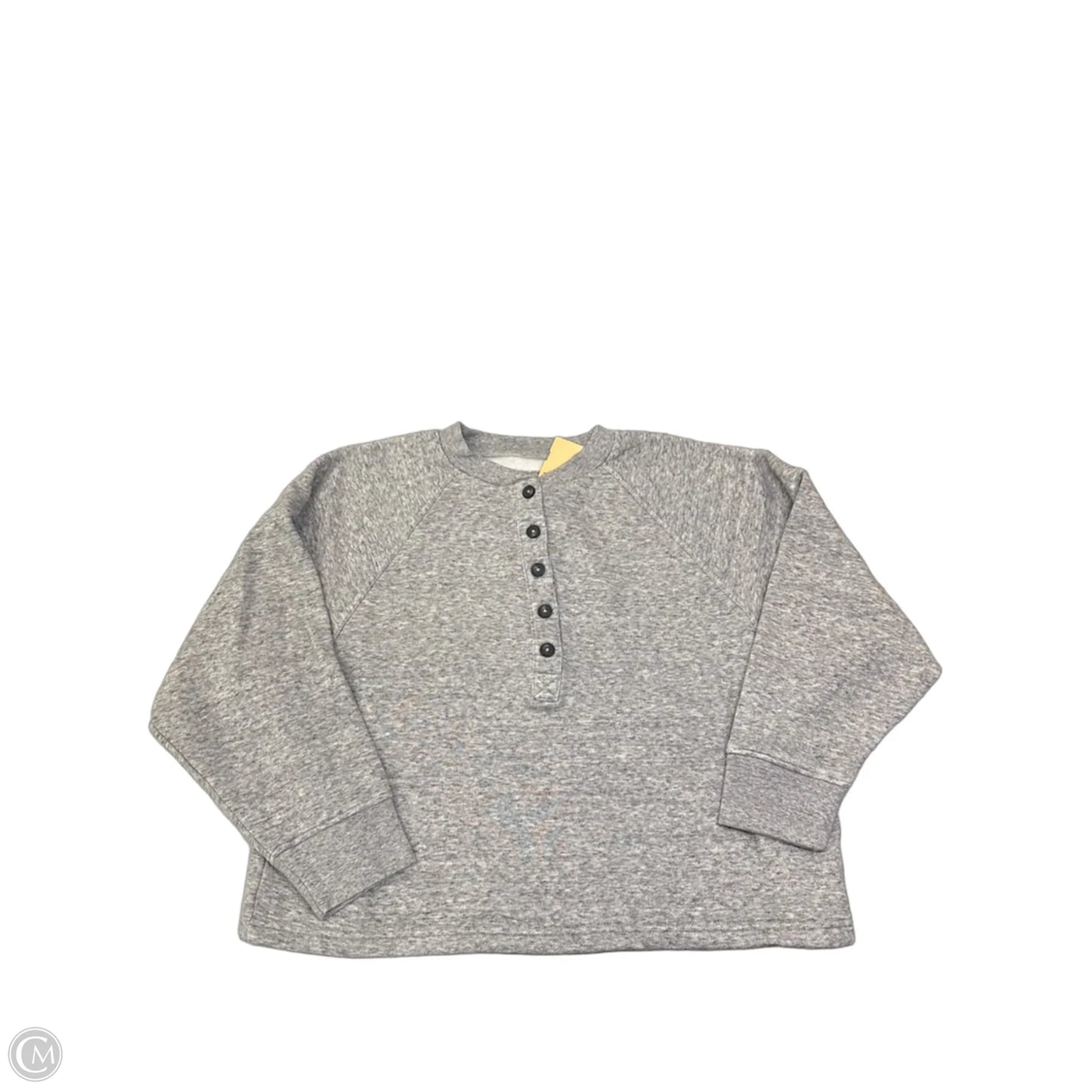 Sweatshirt Crewneck By Madewell In Grey, Size: M