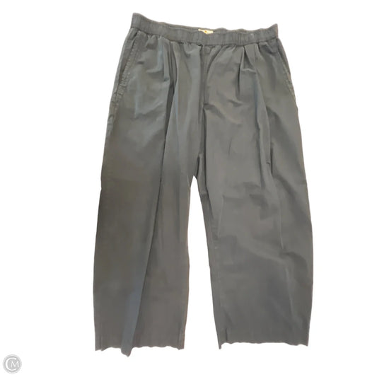 Pants Other By Marine Layer In Black, Size: Xl
