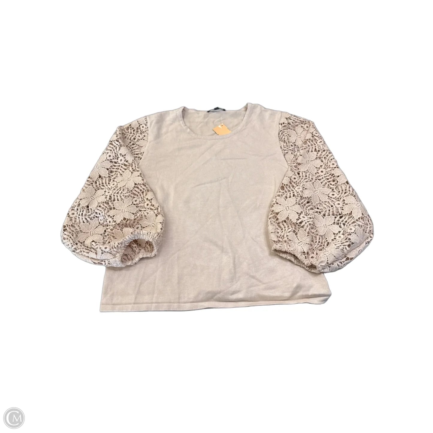 Top Long Sleeve By Adrianna Papell In Beige, Size: Xl