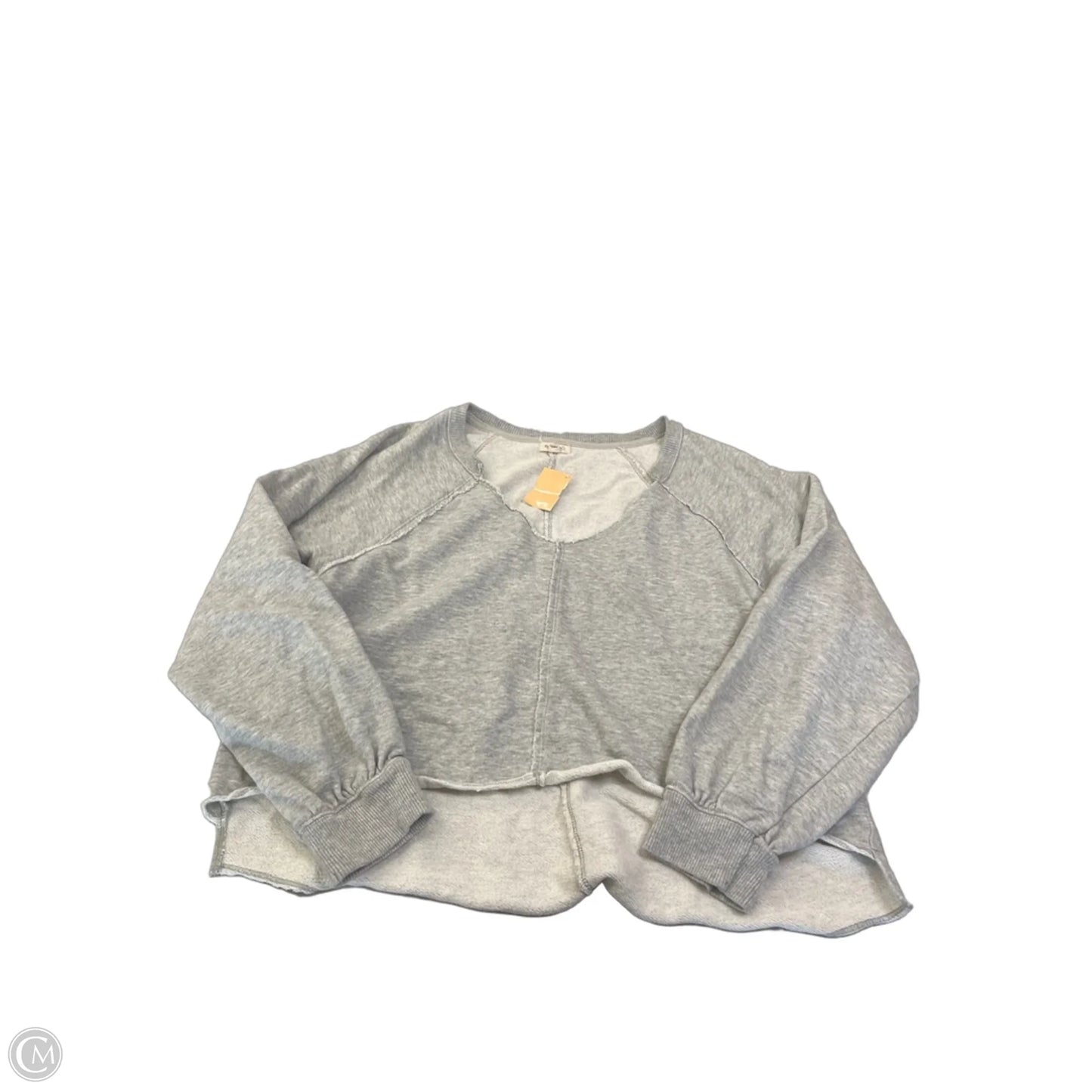 Top Long Sleeve By Pilcro In Grey, Size: M