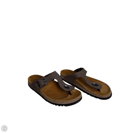 Shoes Flats By Scholl In Brown, Size: 10