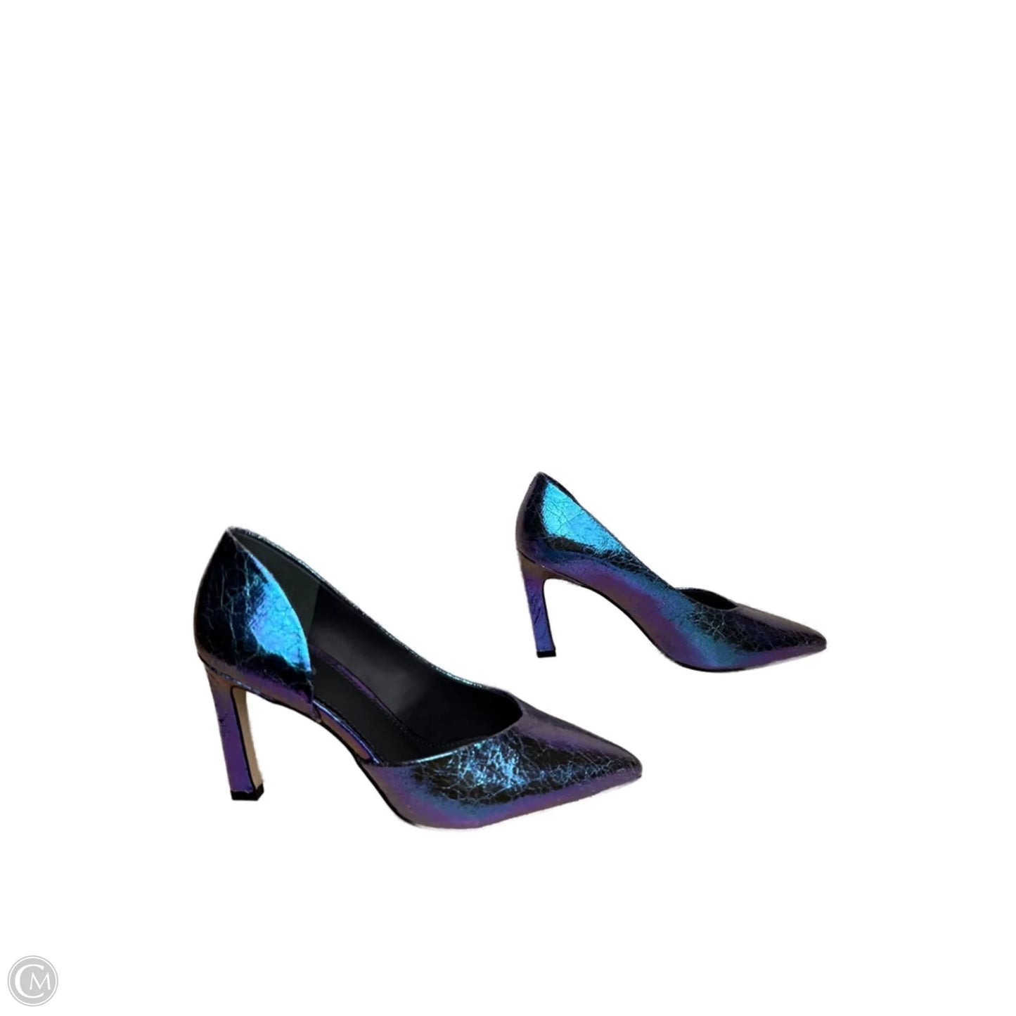 Shoes Heels Stiletto By SARTO In Blue & Purple, Size: 6