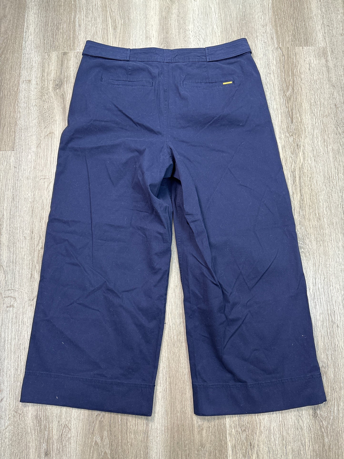 Pants Other By Anne Klein In Blue, Size: Xl