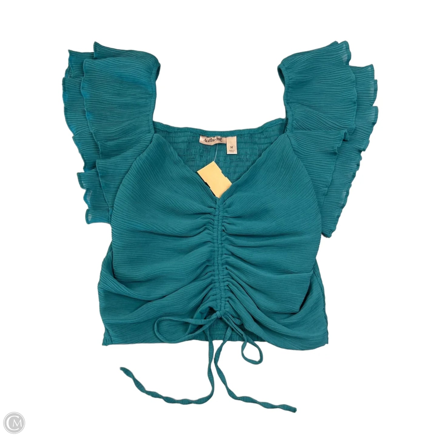 Blouse Sleeveless By Willow & Root In Teal, Size: M