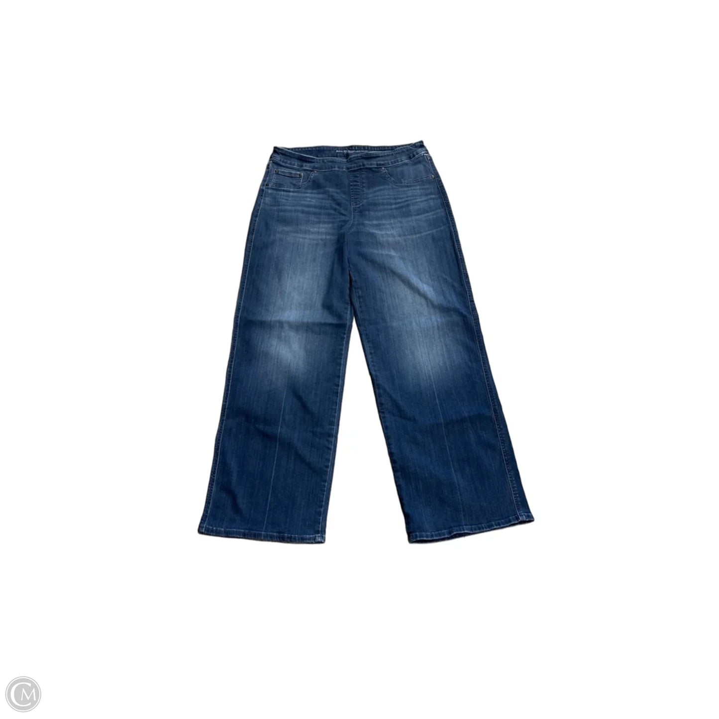 Jeans Wide Leg By Chicos In Blue Denim, Size: 12
