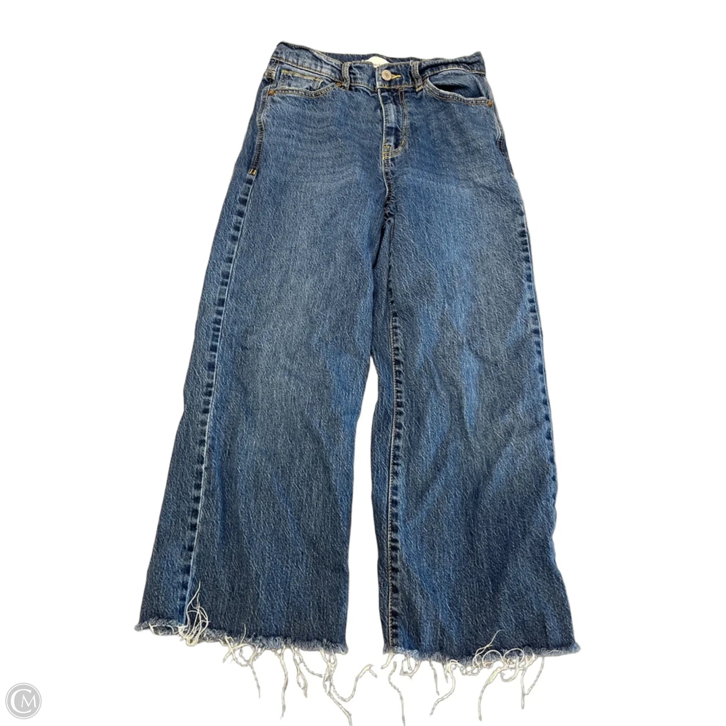 Jeans Wide Leg By Habitual In Blue Denim, Size: 2