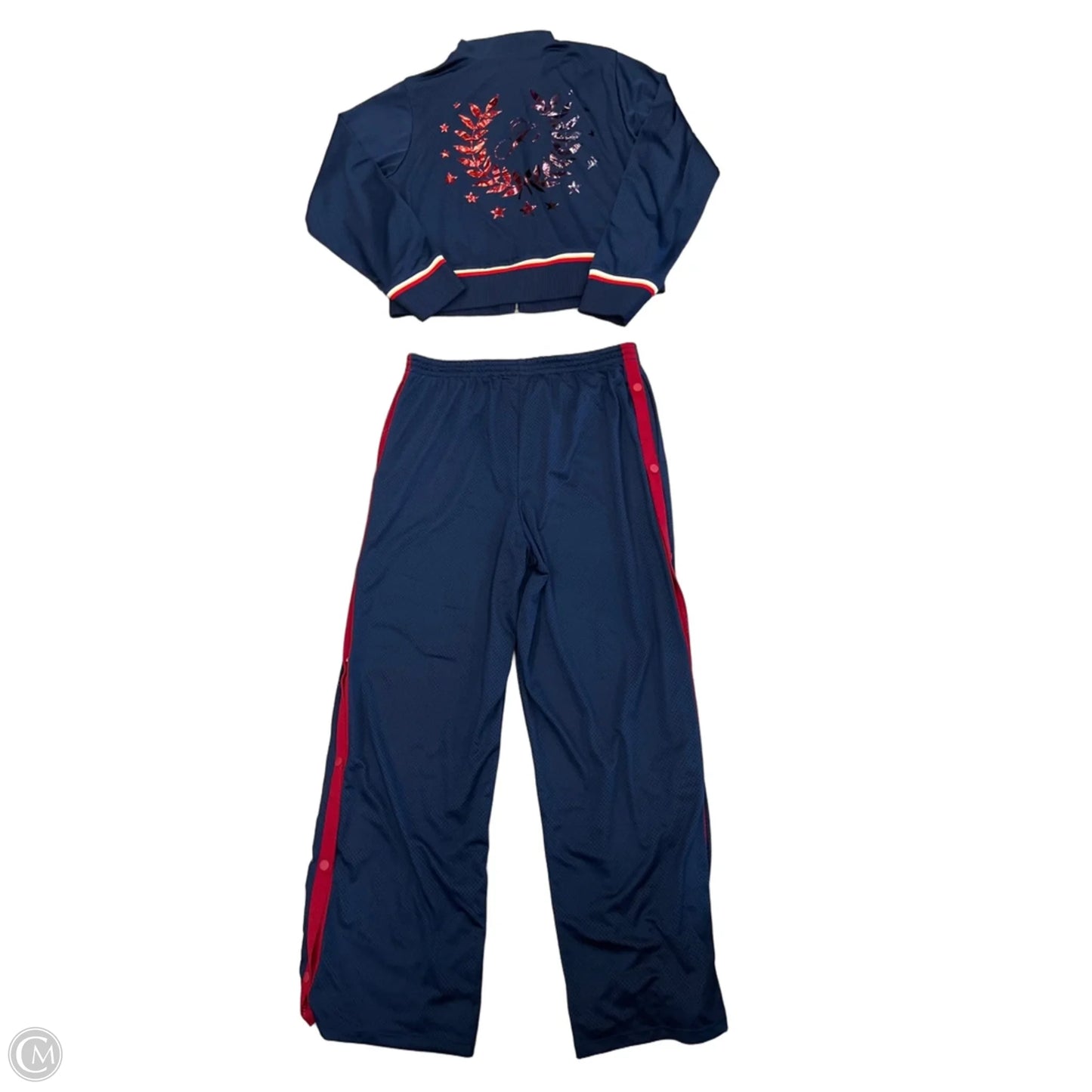 Athletic Pants 2pc By Pink In Blue, Size: L