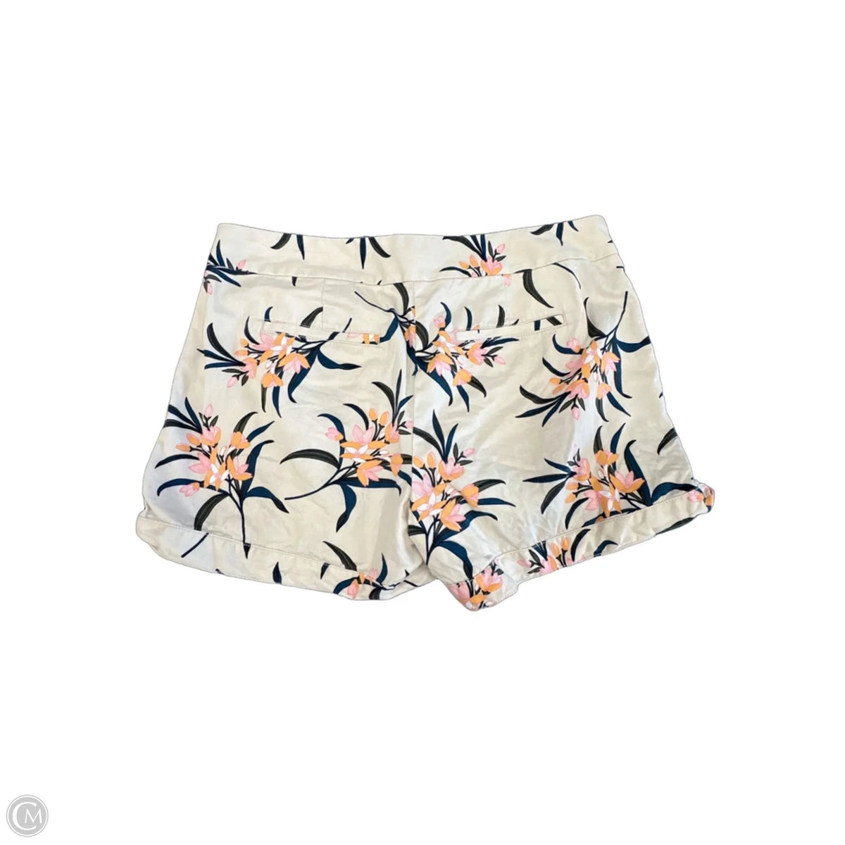 Shorts By Loft In Tan, Size: M
