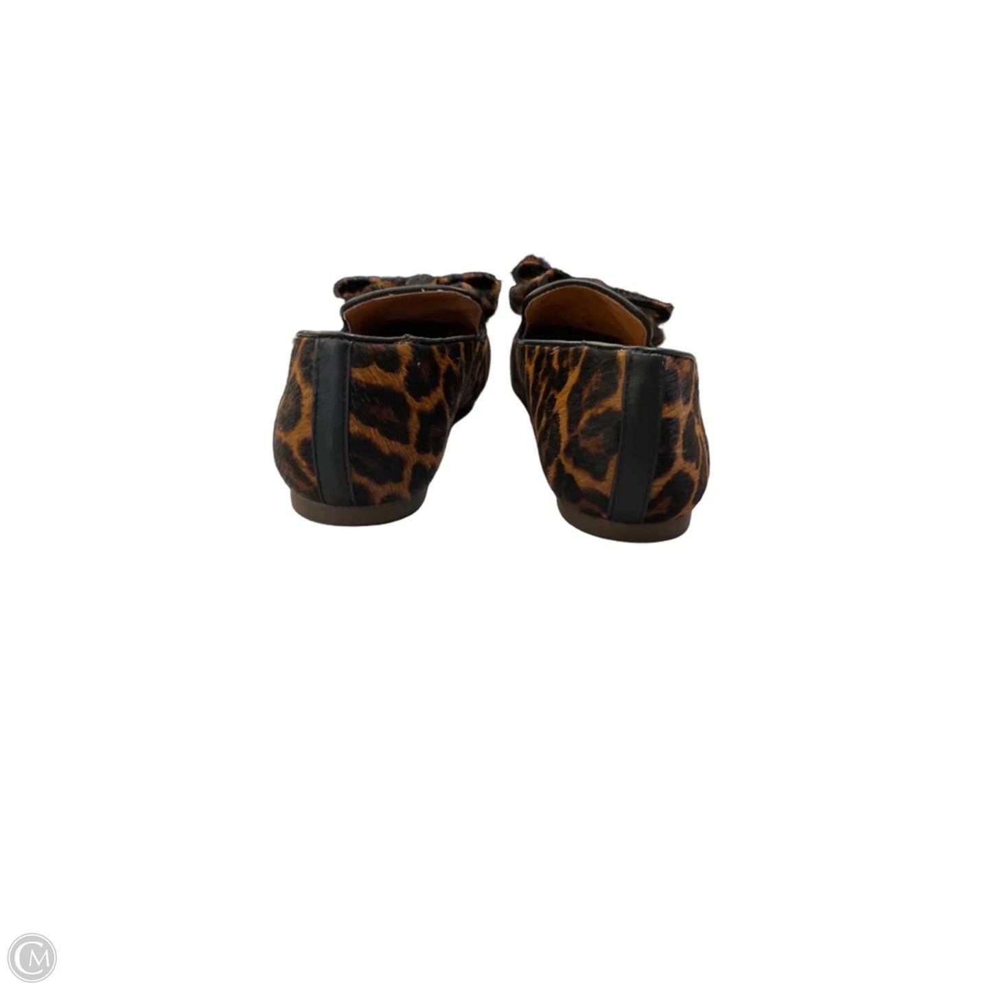 Shoes Flats By Gentle Souls In Leopard Print, Size: 7