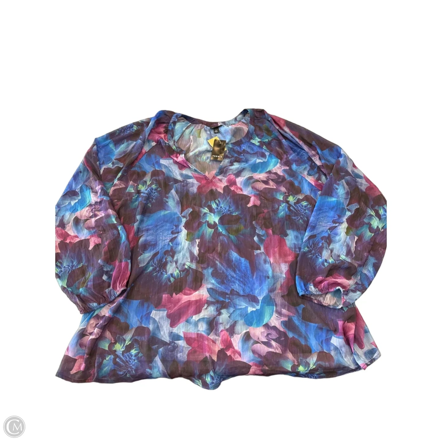 Blouse Long Sleeve By Torrid In Blue, Size: 4x